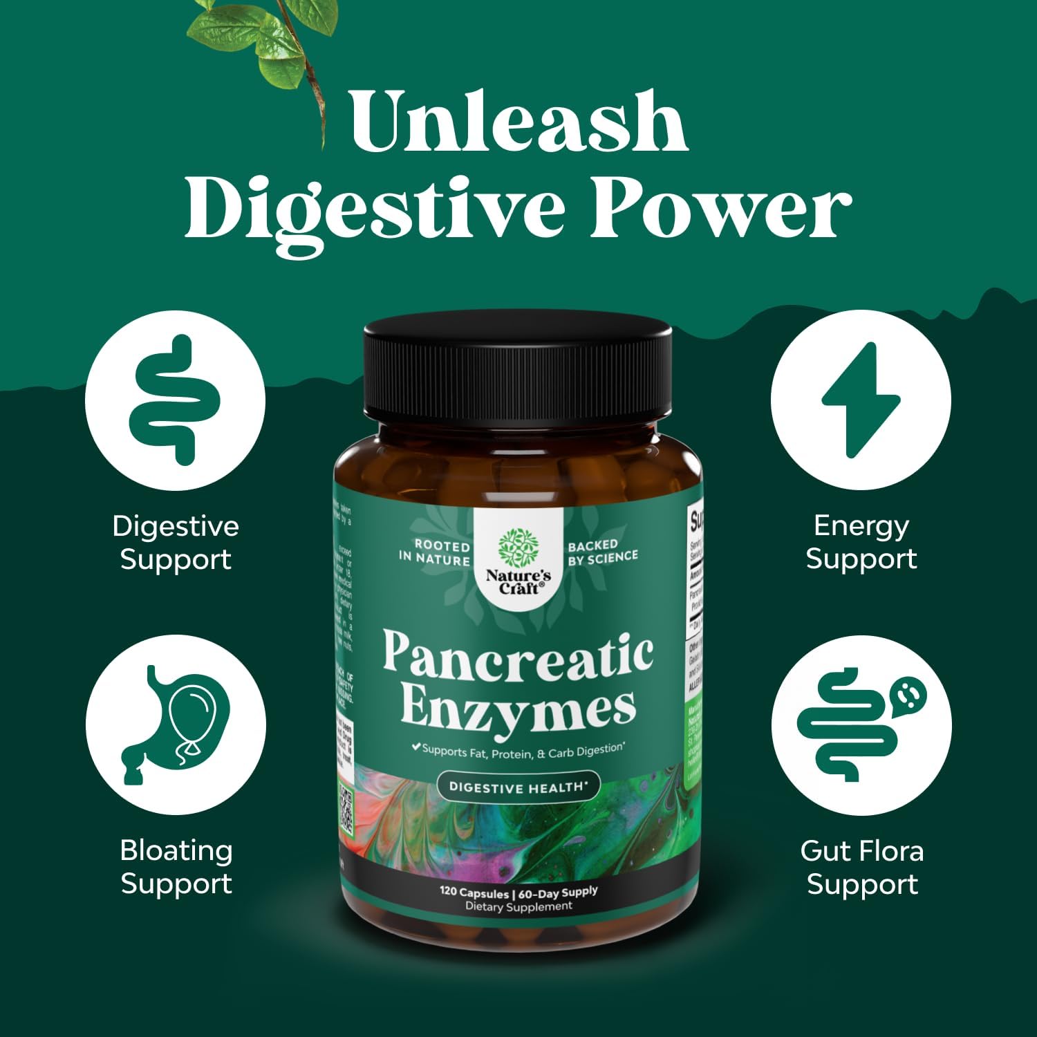 Lista de ingredientes de Pancreatin Digestive Enzymes, muestra que es sin OGM.