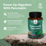 Frasco de Pancreatin Digestive Enzymes, destaca el sello GMP para confianza en seguridad de ingredientes.