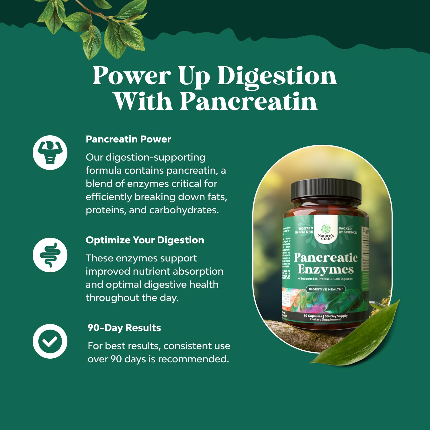 Natures Craft Pancreatina Enzimas Digestivas, cápsulas en mano para demostrar uso