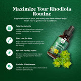 Natures Craft Rhodiola Rosea base de glicerina orgánica sin alcohol