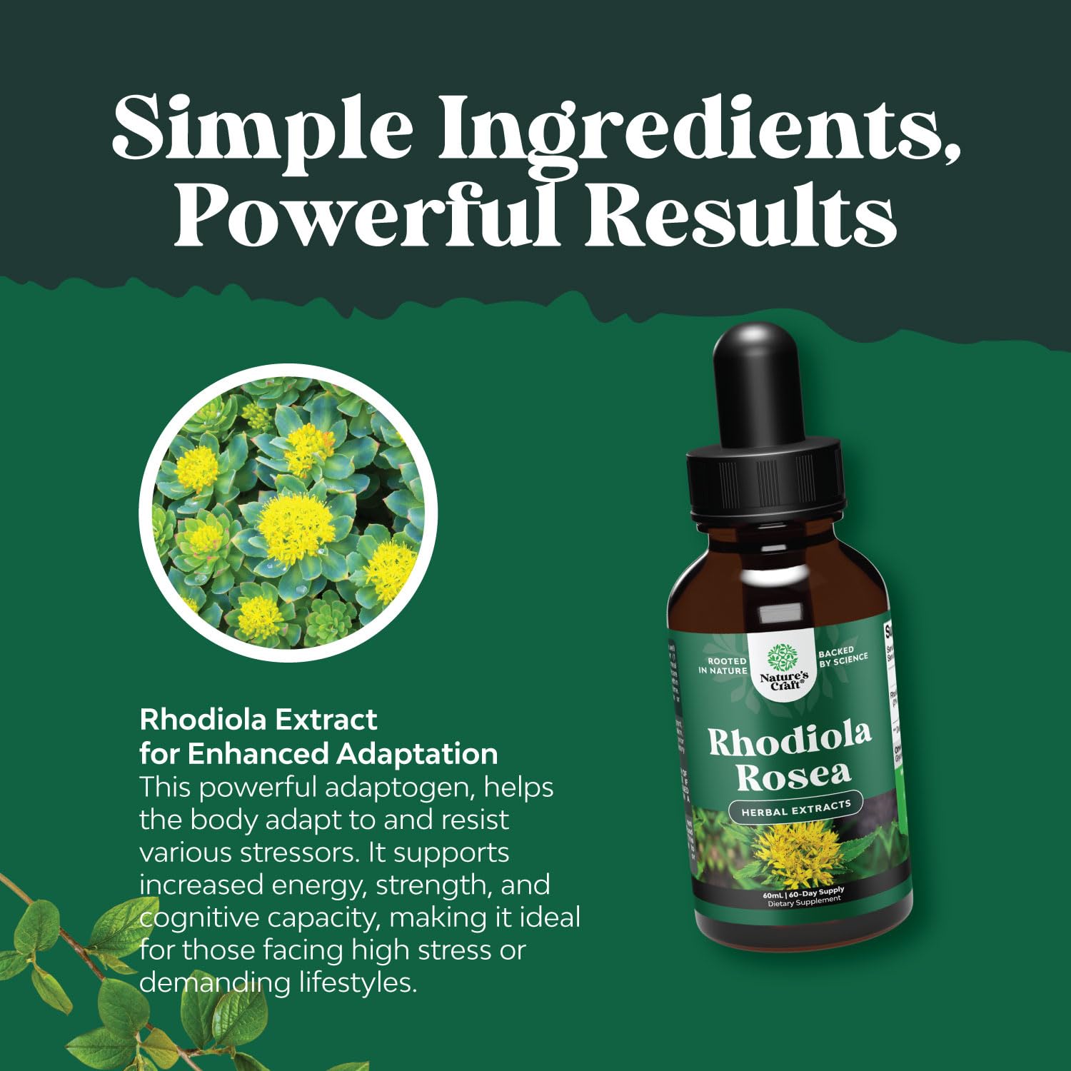 Natures Craft Rhodiola Rosea garantiza perfil vegano y sin OGM