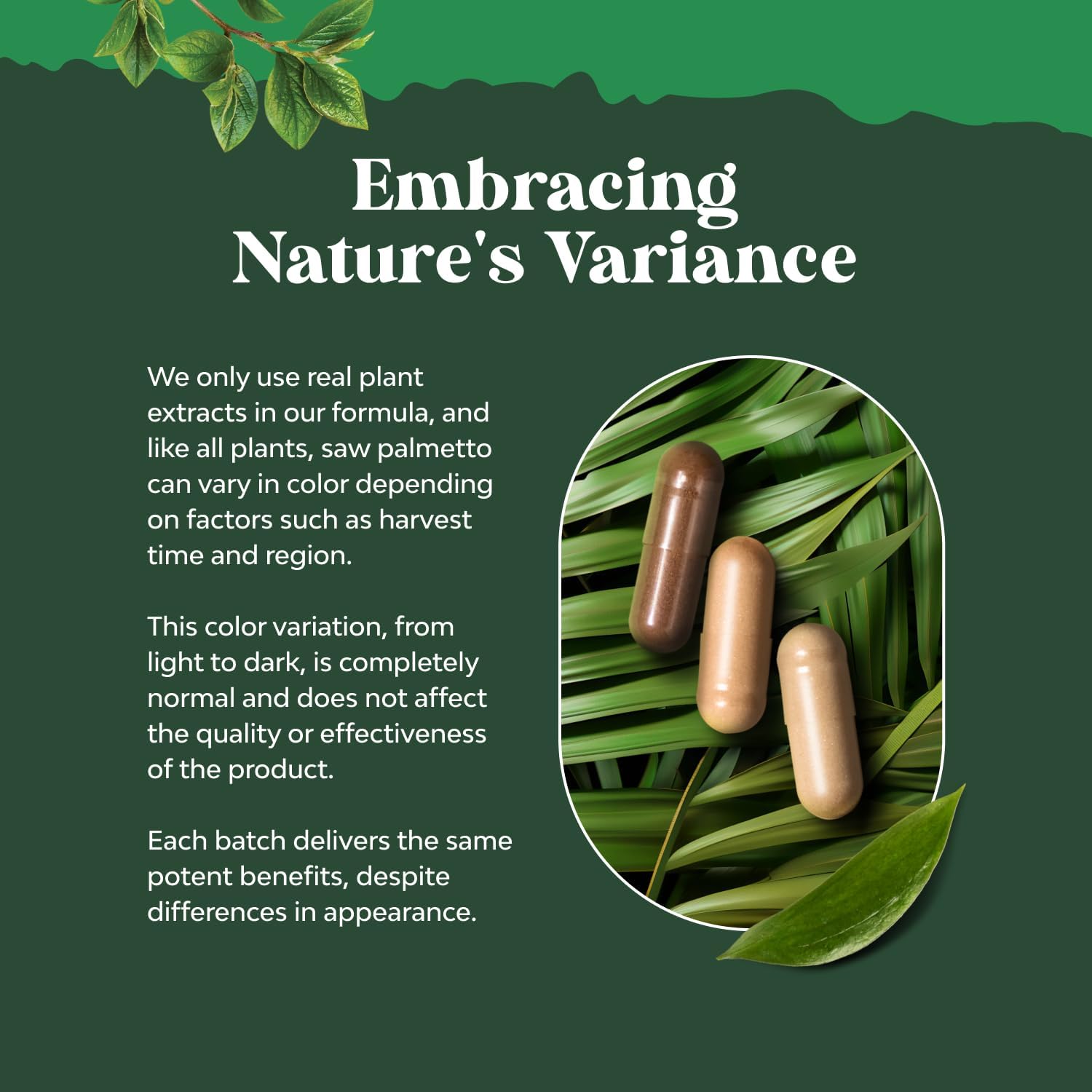 Natures Craft Saw Palmetto control de la vejiga y bienestar diario