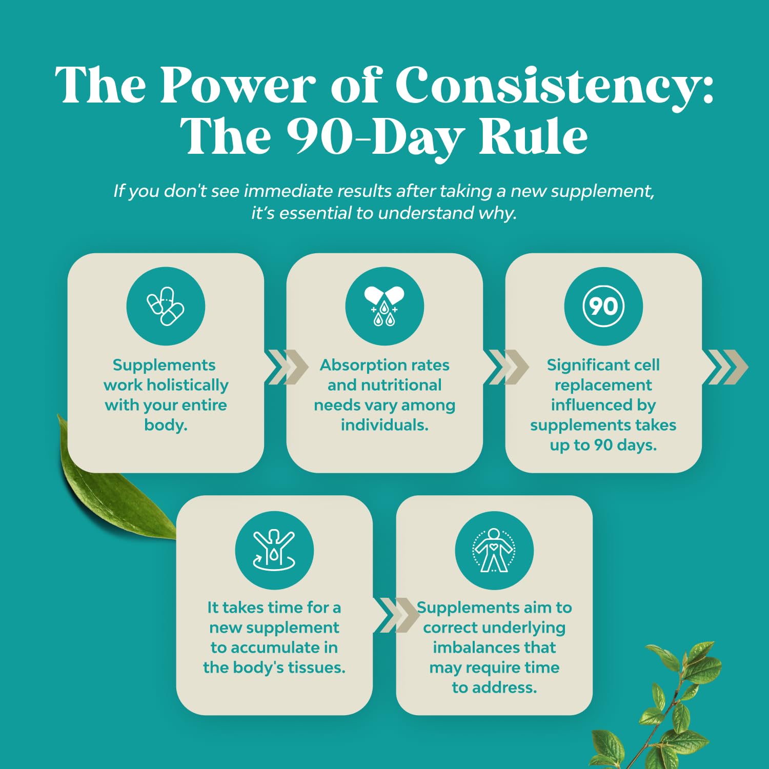Natures Craft uso diario para apoyar la salud hepática