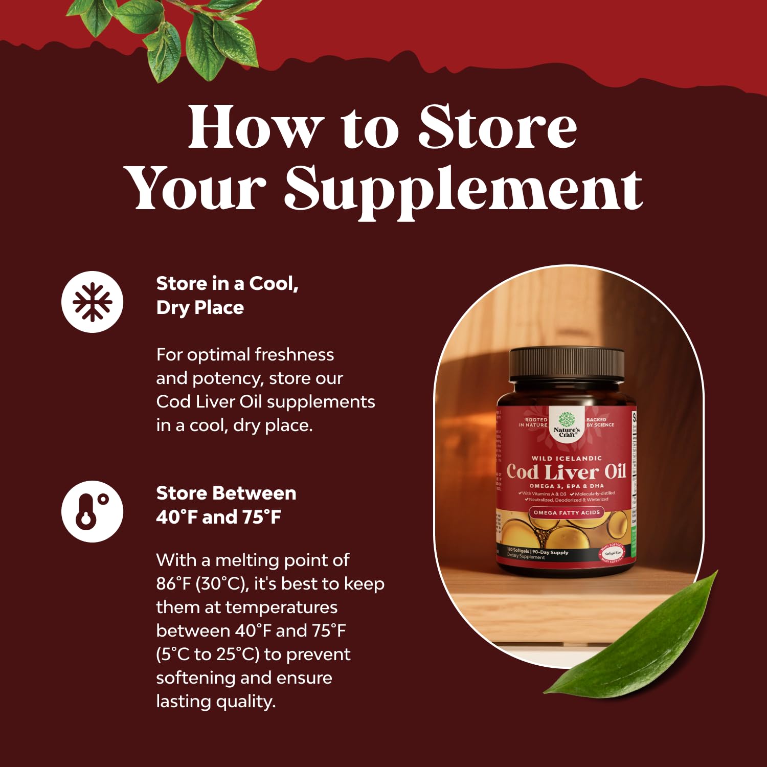 EPA y DHA en Natures Craft, valor nutricional y beneficios para la salud.