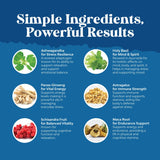 Natures Craft vegano sin OGM, opción consciente para el estilo de vida
