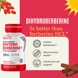  Nature's Fusions Dihidroberberina uso-diario: integración fácil en hábitos saludables.