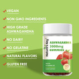 Nature's Key Ashwagandha Gummies dosis diaria, apoyo potencial para equilibrio emocional