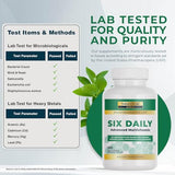 Nature's Lab Six Daily Advanced Multivitamin, ingredientes clave, apoyo a metabolismo saludable.