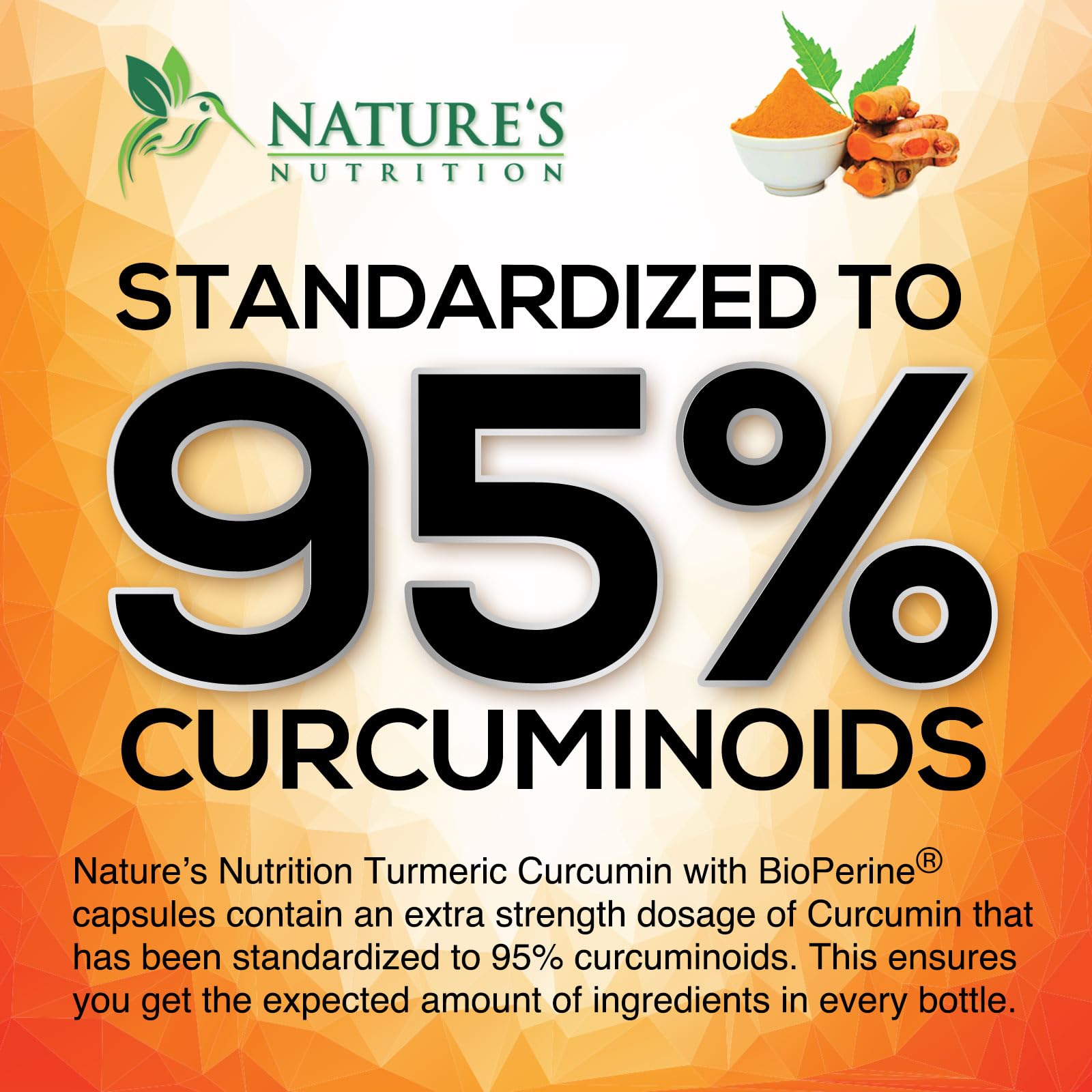 Nature's Nutrition BioPerine: pimienta negra para absorción mejorada