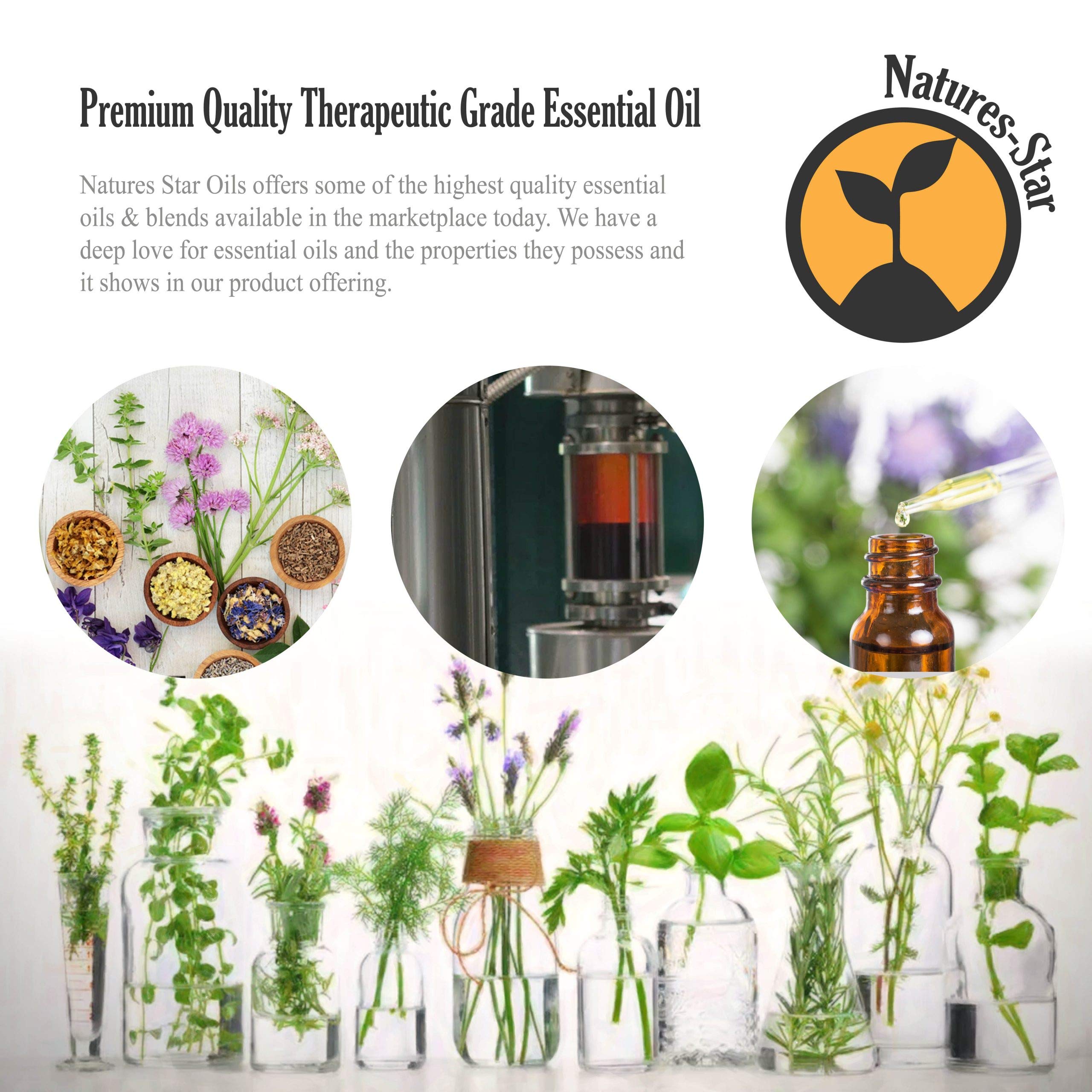 Natures-Star Menta en difusor, aroma para aromaterapia ambiental.