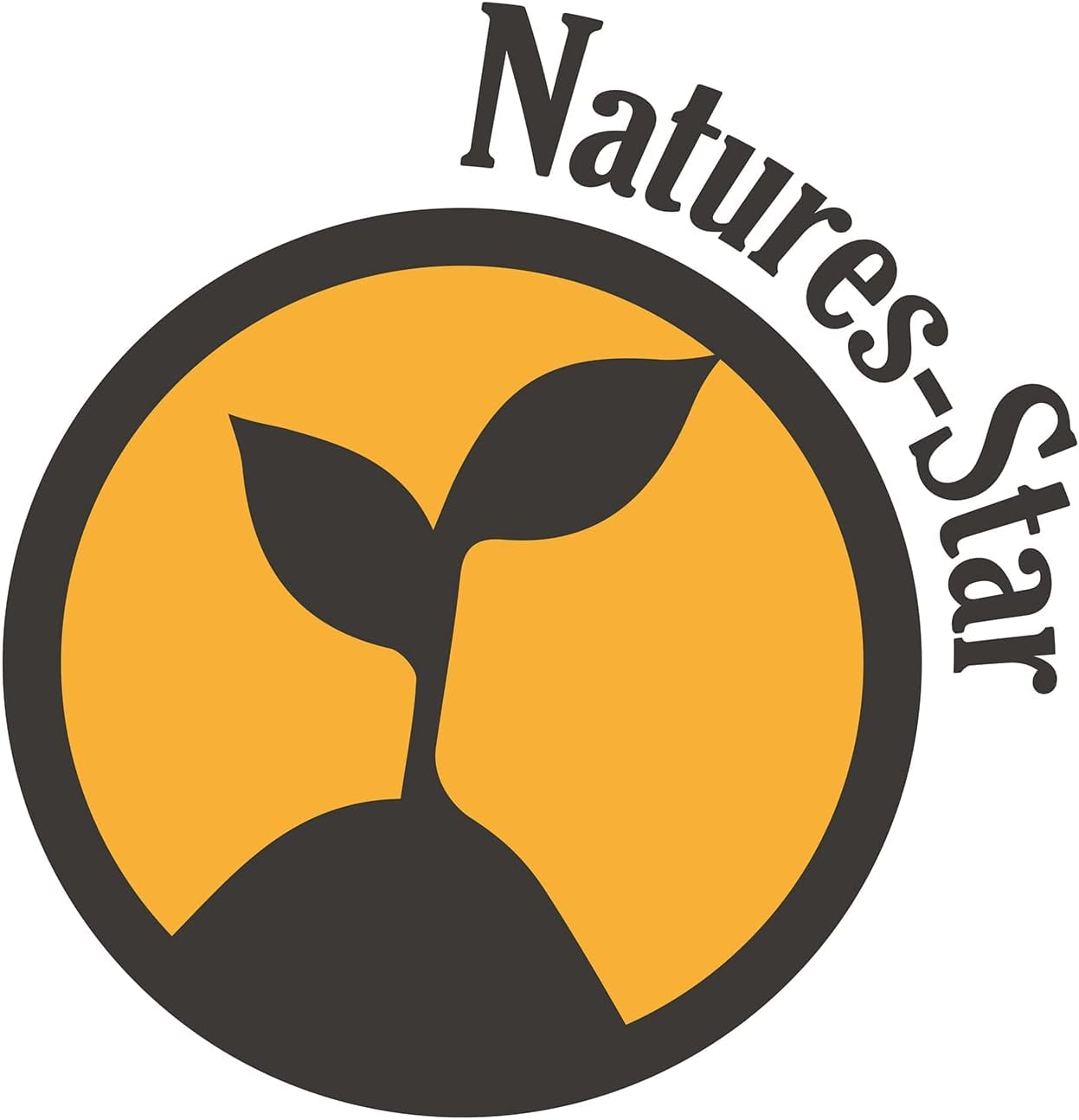 Natures-Star Romero: ambientación hogareña con aroma calmante para espacios.