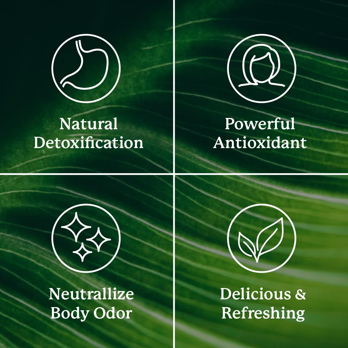 Nature's Sunshine clorofila líquida, aroma a menta para bebidas más frescas.