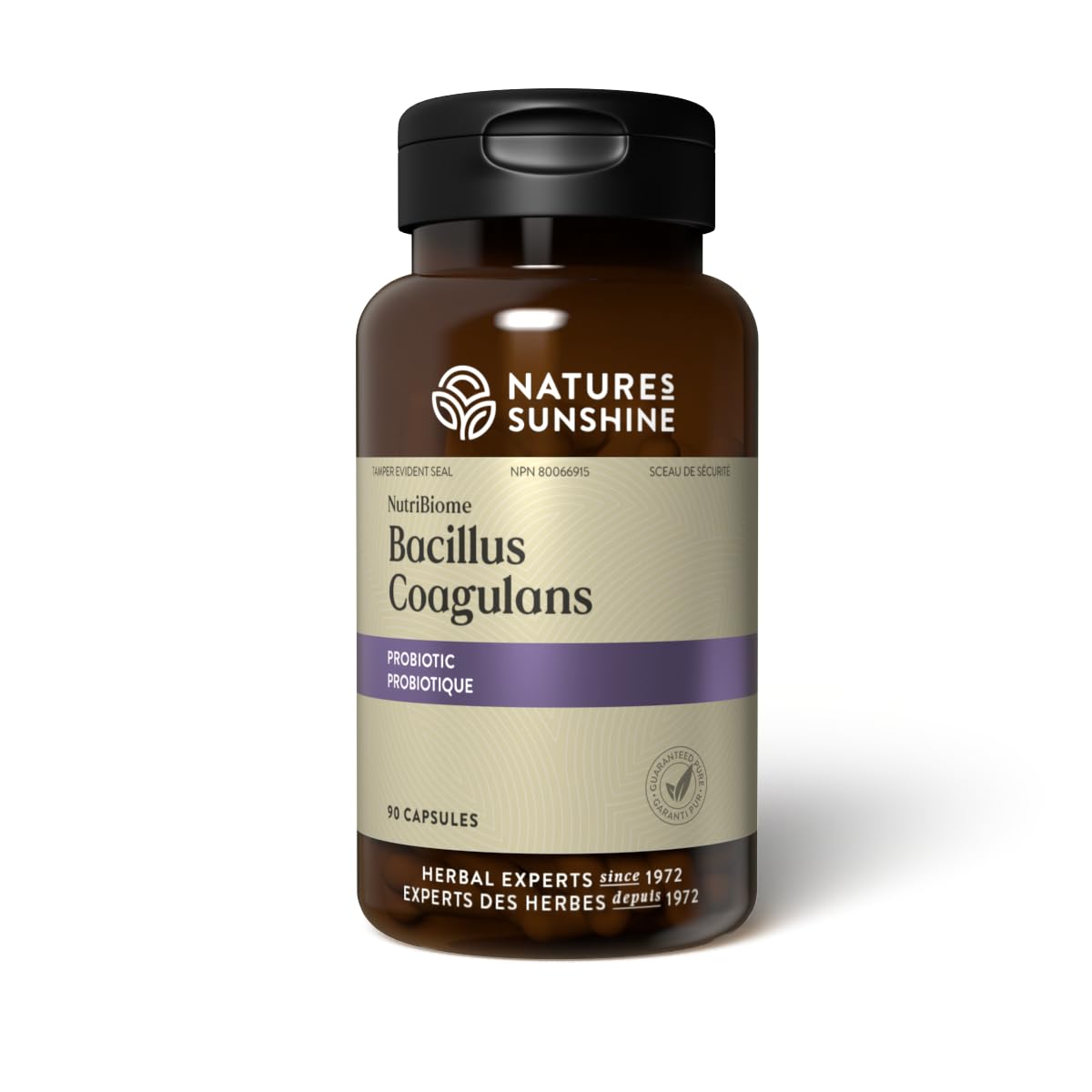 Nature's Sunshine NutriBiome Bacillus Coagulans, empaque frontal, fácil de identificar para uso diario.