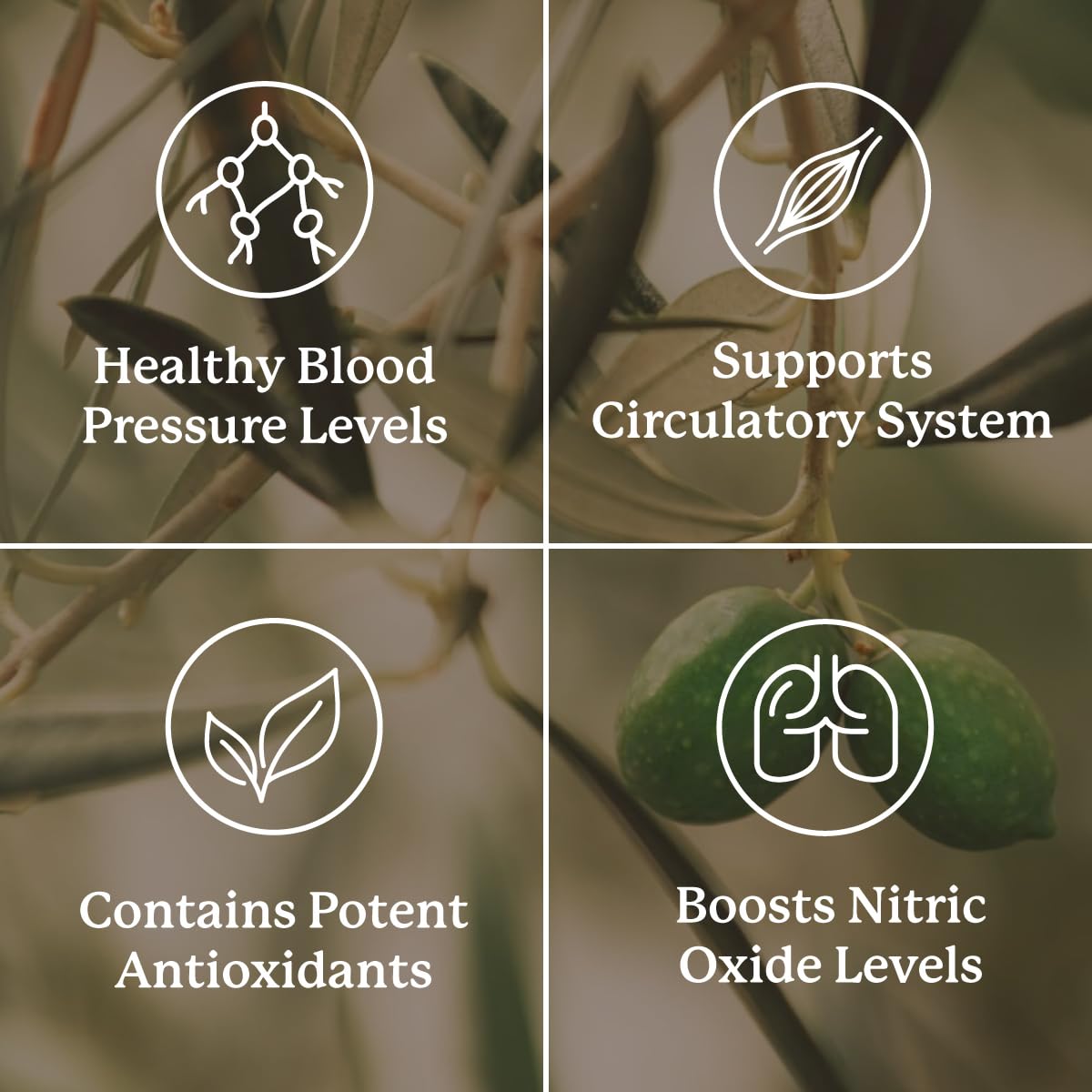 Nature's Sunshine Blood Pressurex botella etiqueta: información clara sobre ingredientes naturales.