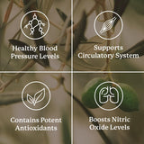 Nature's Sunshine Blood Pressurex botella etiqueta: información clara sobre ingredientes naturales.