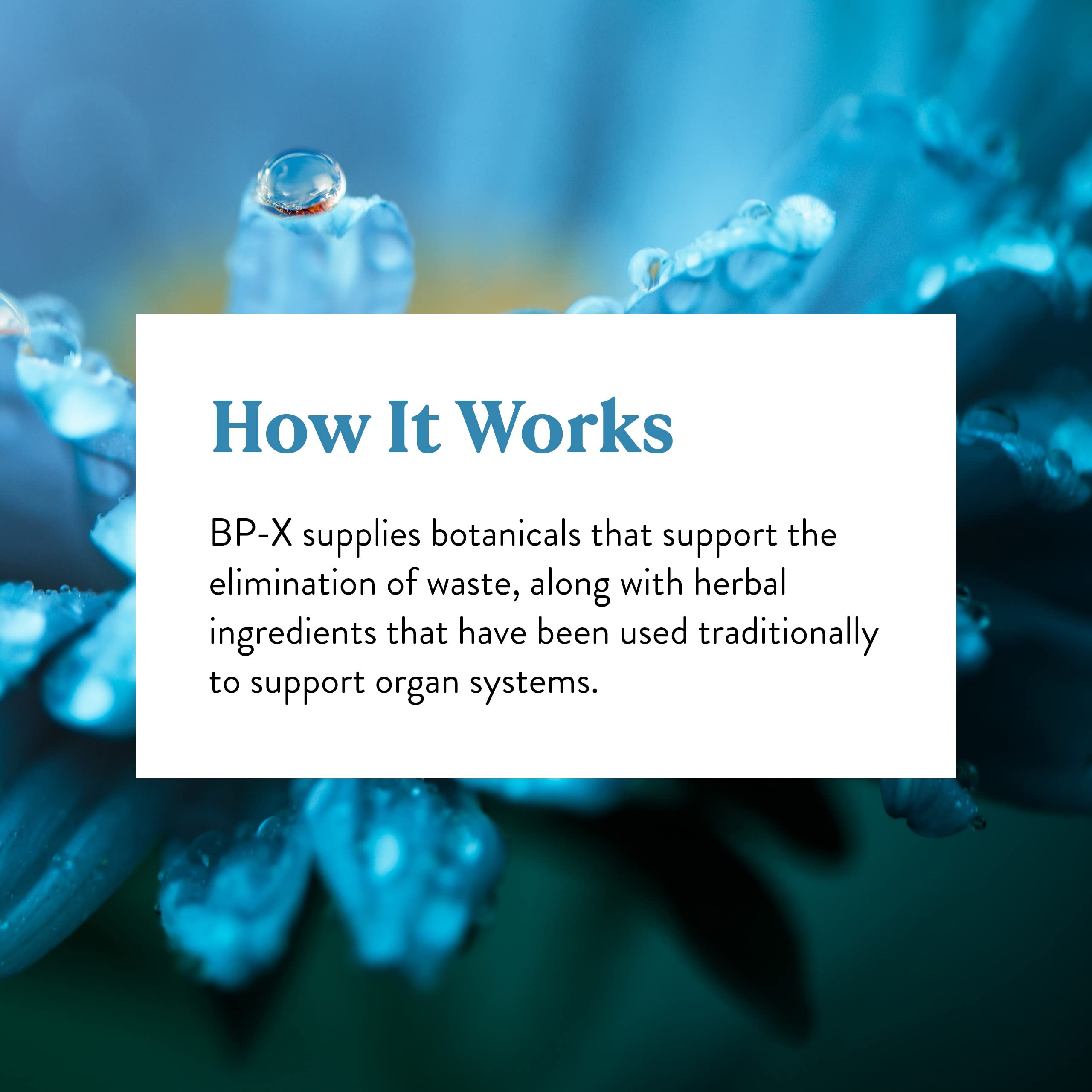 Nature's Sunshine BP-X botella en mesa lista para uso diario