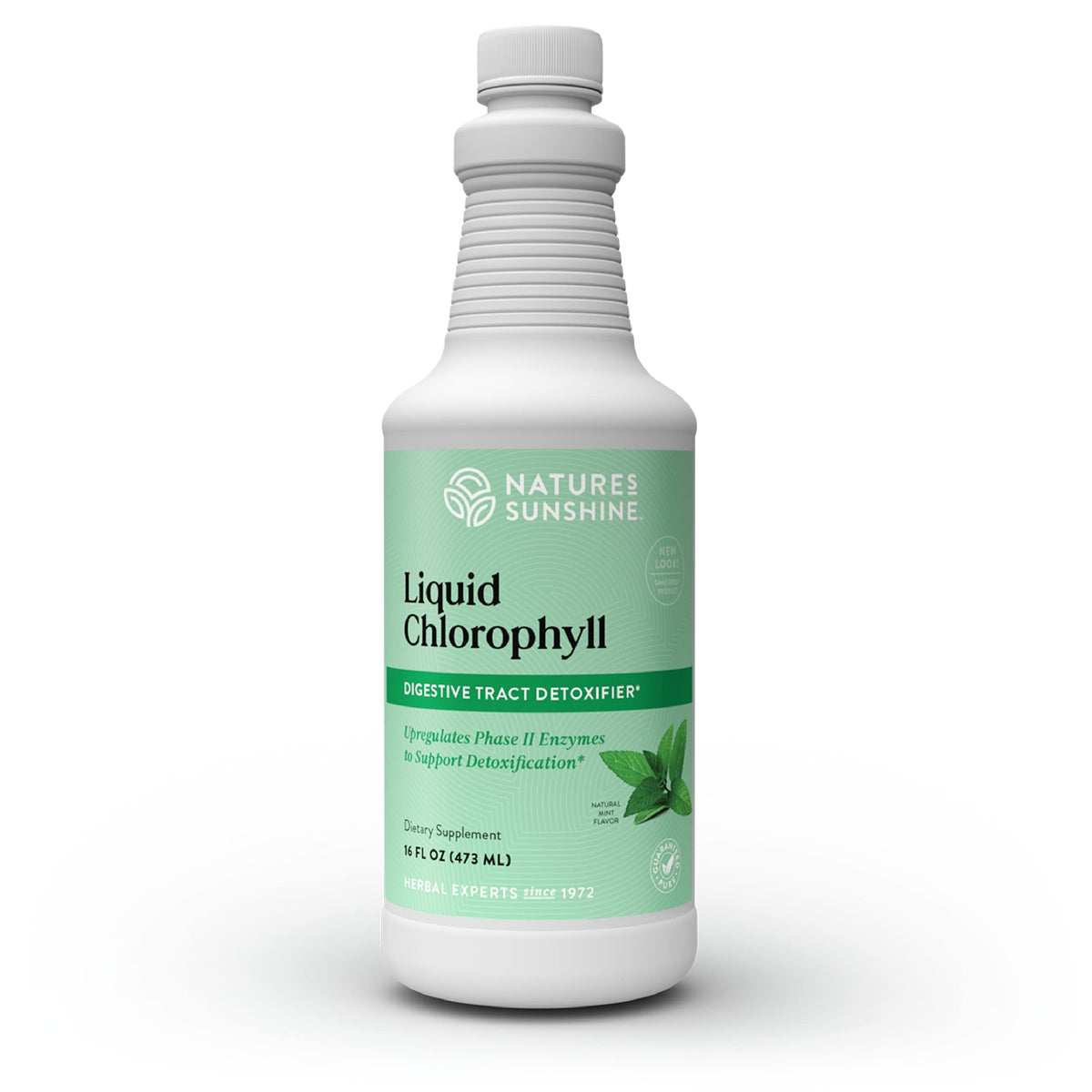 Nature's Sunshine clorofila – bote vertido, ayuda a detox suave diario.