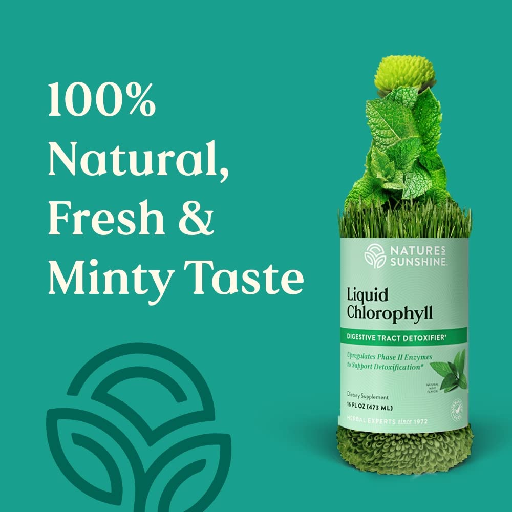Nature's Sunshine clorofila – dispensador para dosis diaria cómoda.
