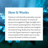 Nature's Sunshine Colostrum: etiqueta y diseño de producto para fácil reconocimiento.