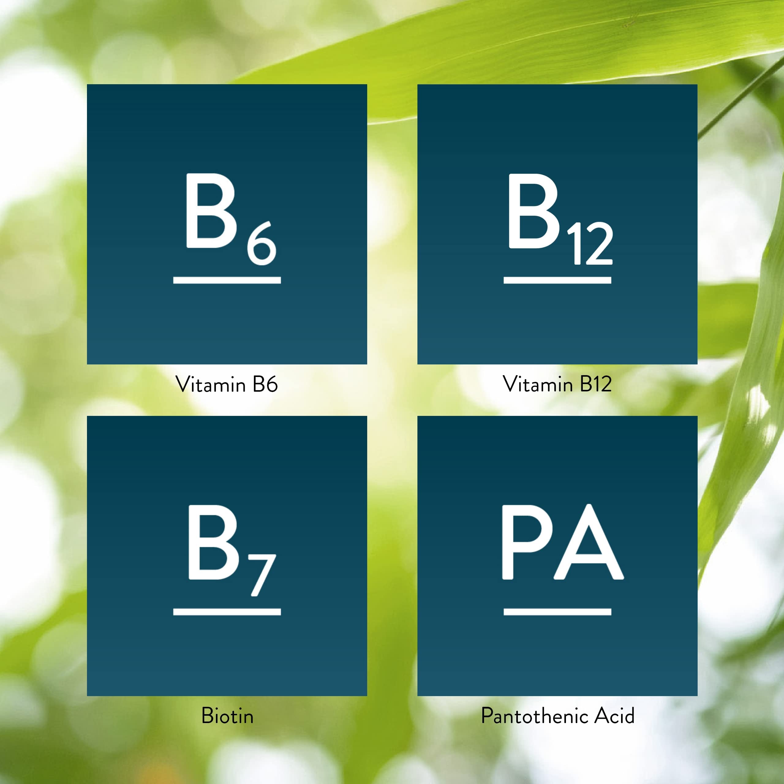 Nature's Sunshine Complejo B, ingredientes naturales para bienestar diario