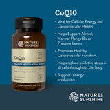 Nature's Sunshine CoQ10-60 cápsulas en mano: dosis diaria recomendada.
