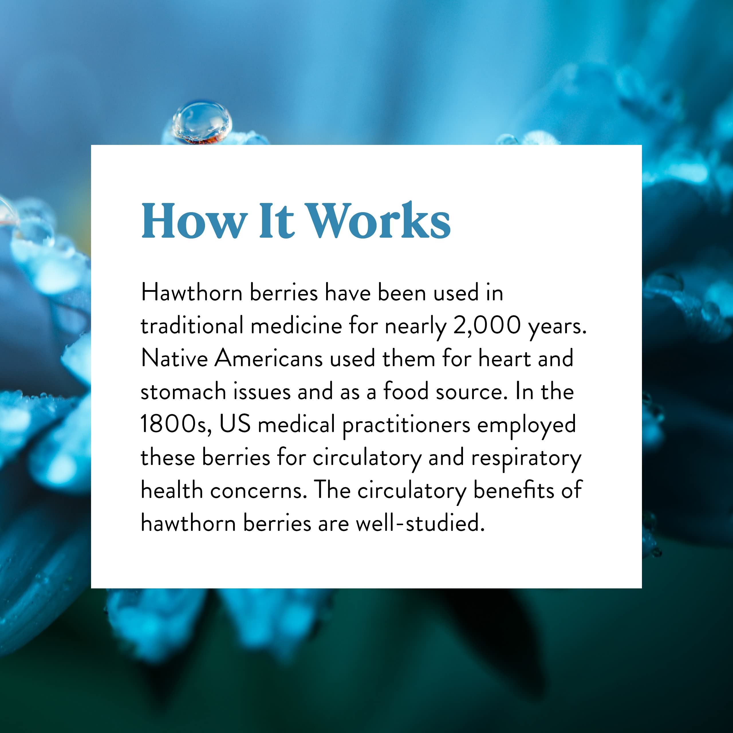 Información de ingredientes y dosis en Nature's Sunshine hawthorn.