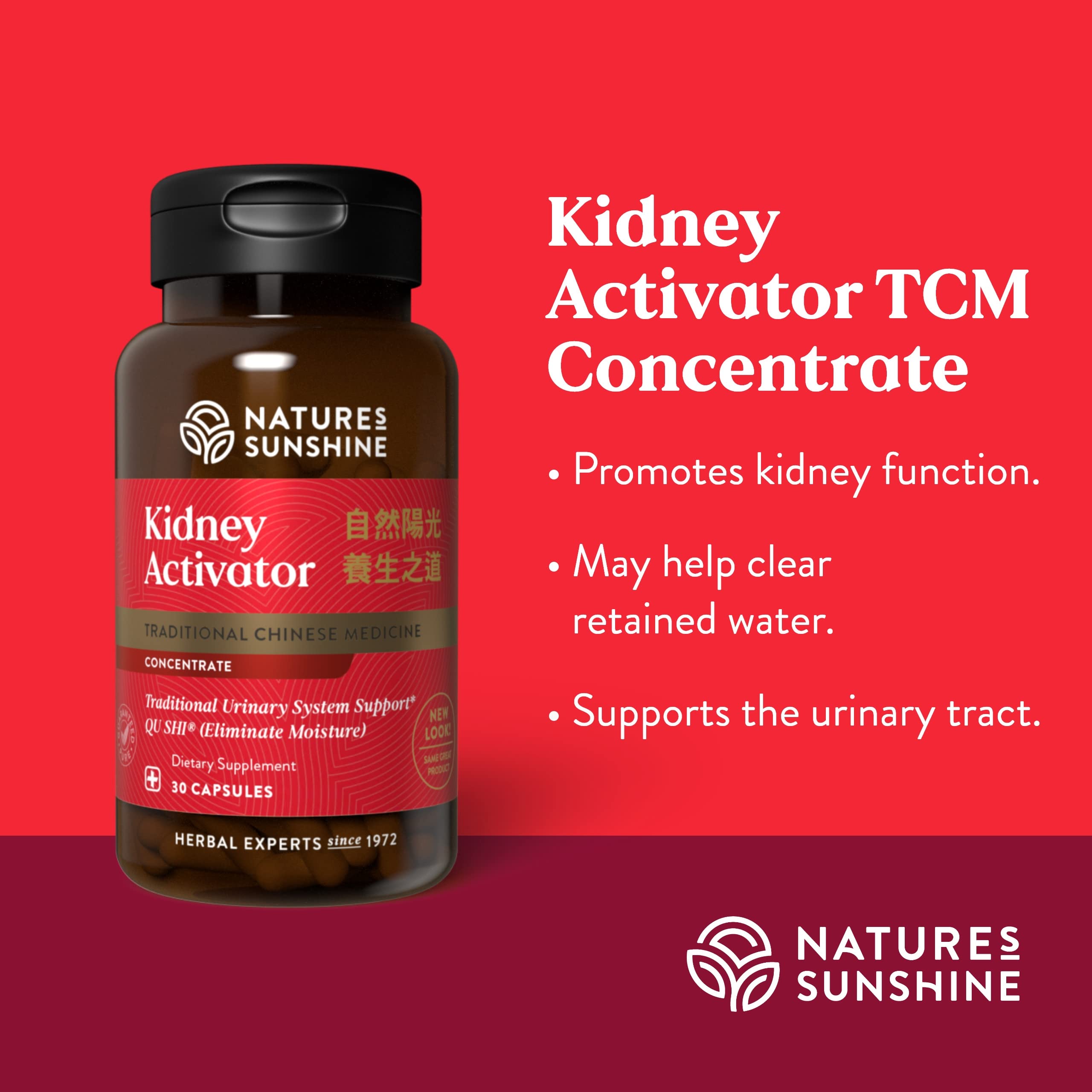 Activador de Riñón Nature's Sunshine: etiqueta posterior con detalles
