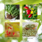 Nature's Sunshine LIV-J ingredientes: diente de león y remolacha para hígado