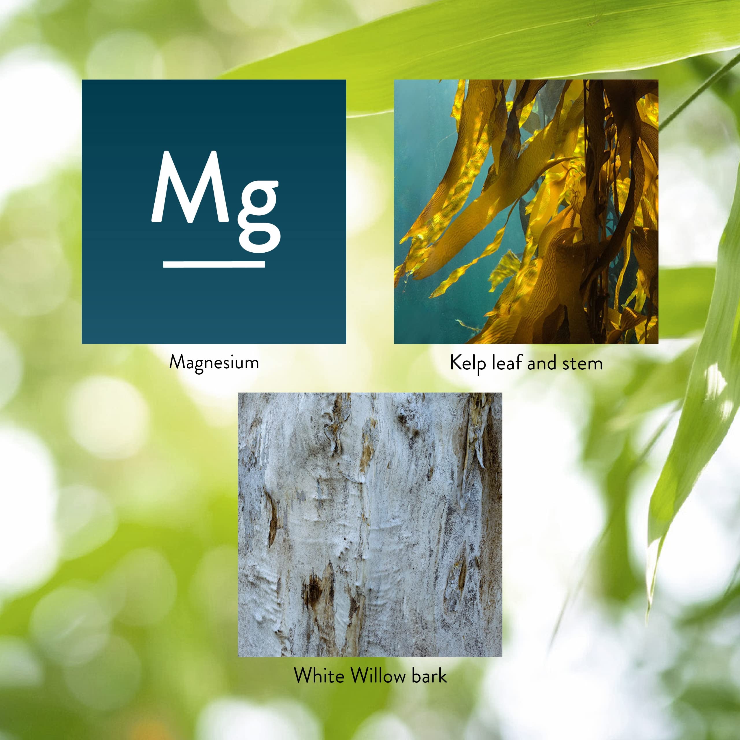 Nature's Sunshine Magnesium 250 mg: uso diario para apoyo muscular y nervioso.