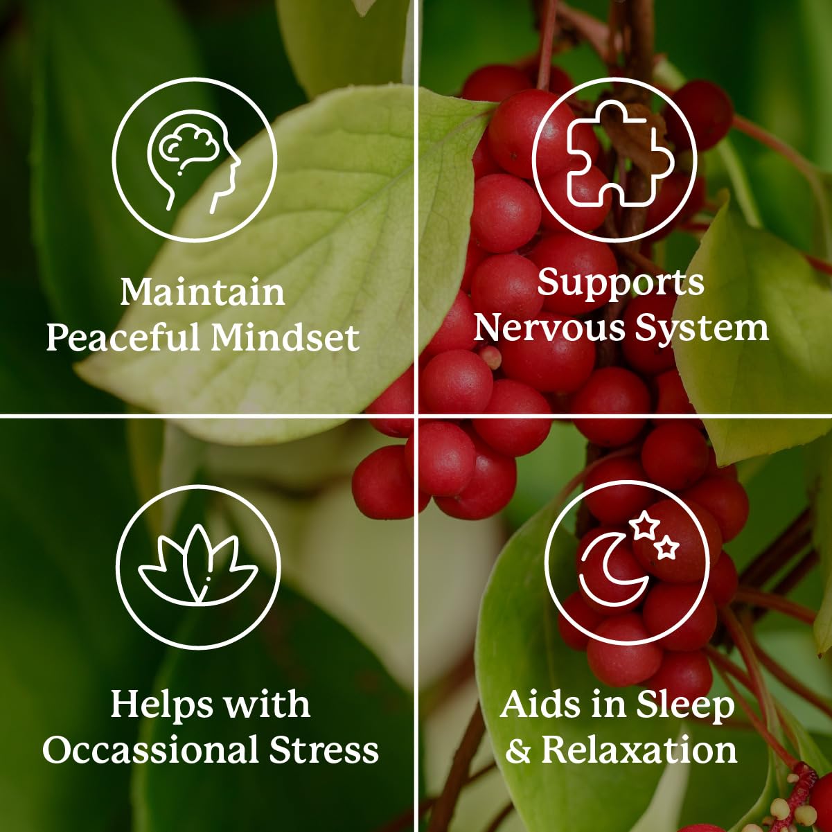Nature's Sunshine Nutri-Calm: mezcla herbal selecta para bienestar general