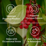Nature's Sunshine Nutri-Calm: mezcla herbal selecta para bienestar general