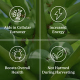 Nature's Sunshine Paw Paw Cell-Reg presentación caja: packaging sostenible