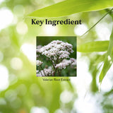 Nature's Sunshine Valerian Root: ingesta fácil para ayuda nocturna.