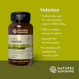 Raíz de valeriana Nature's Sunshine en estado seco para relajación natural.