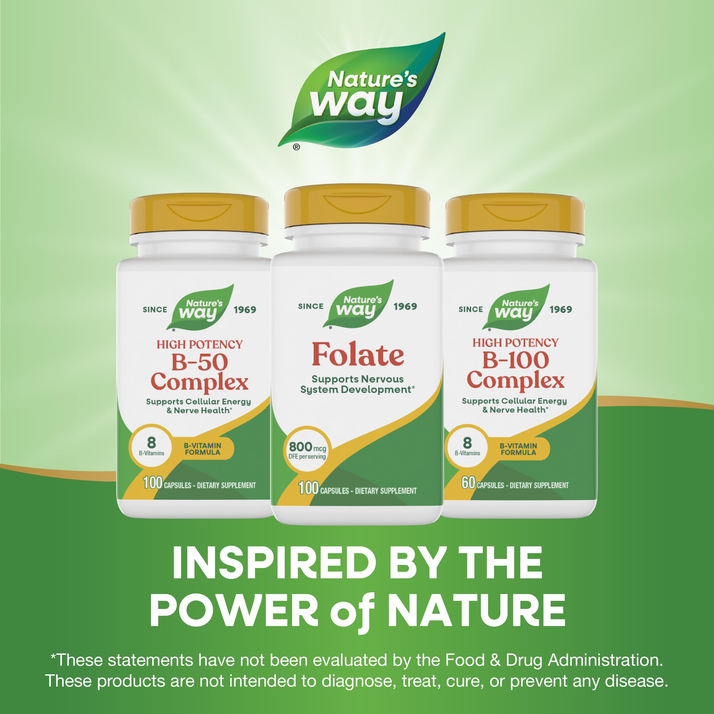 Nature's Way ácido fólico, cápsulas de fácil uso diario.