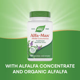 Tallos de alfalfa en Alfa-Max, componente principal y natural.