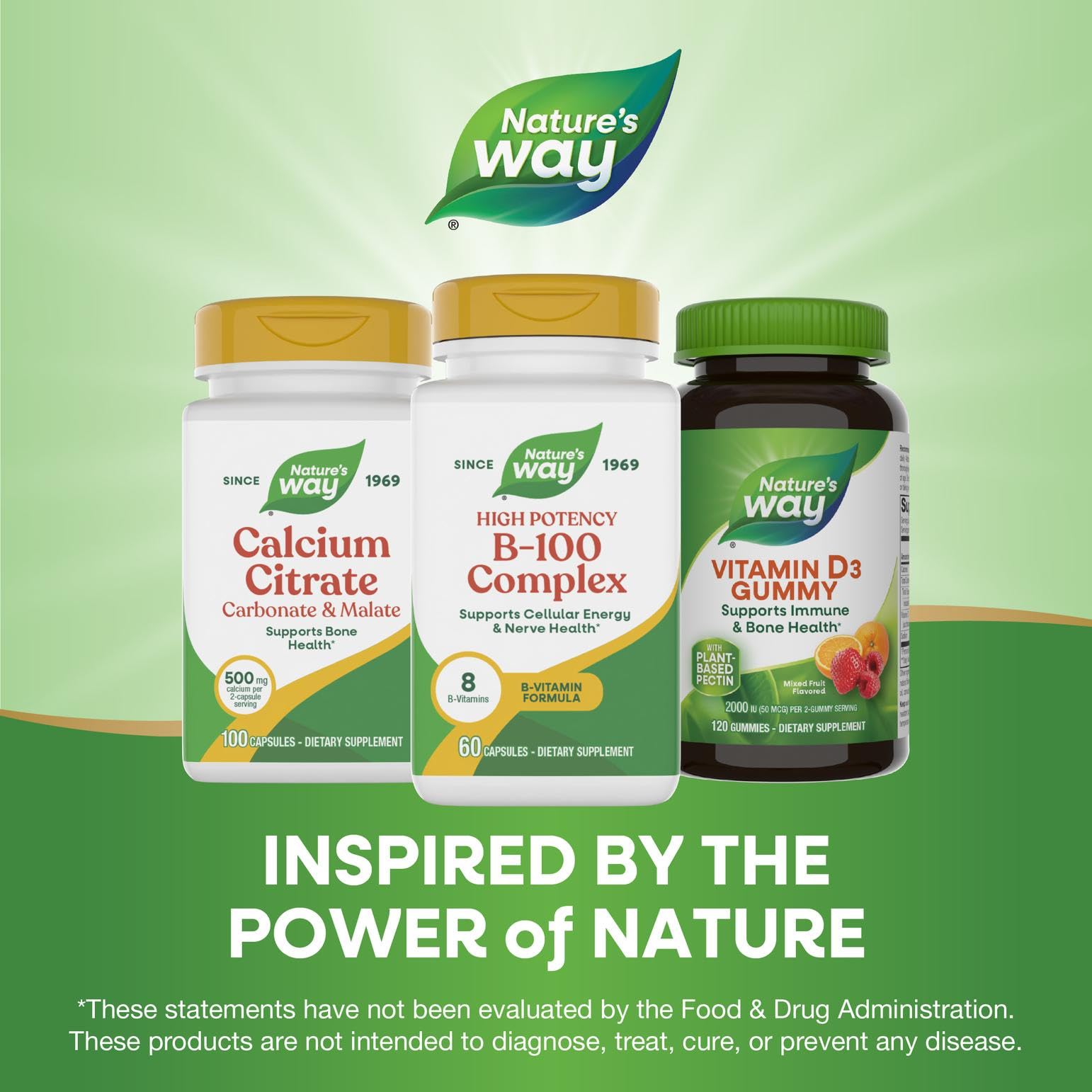 Nature's Way B-100 Complex, uso diario matutino para energía sostenida