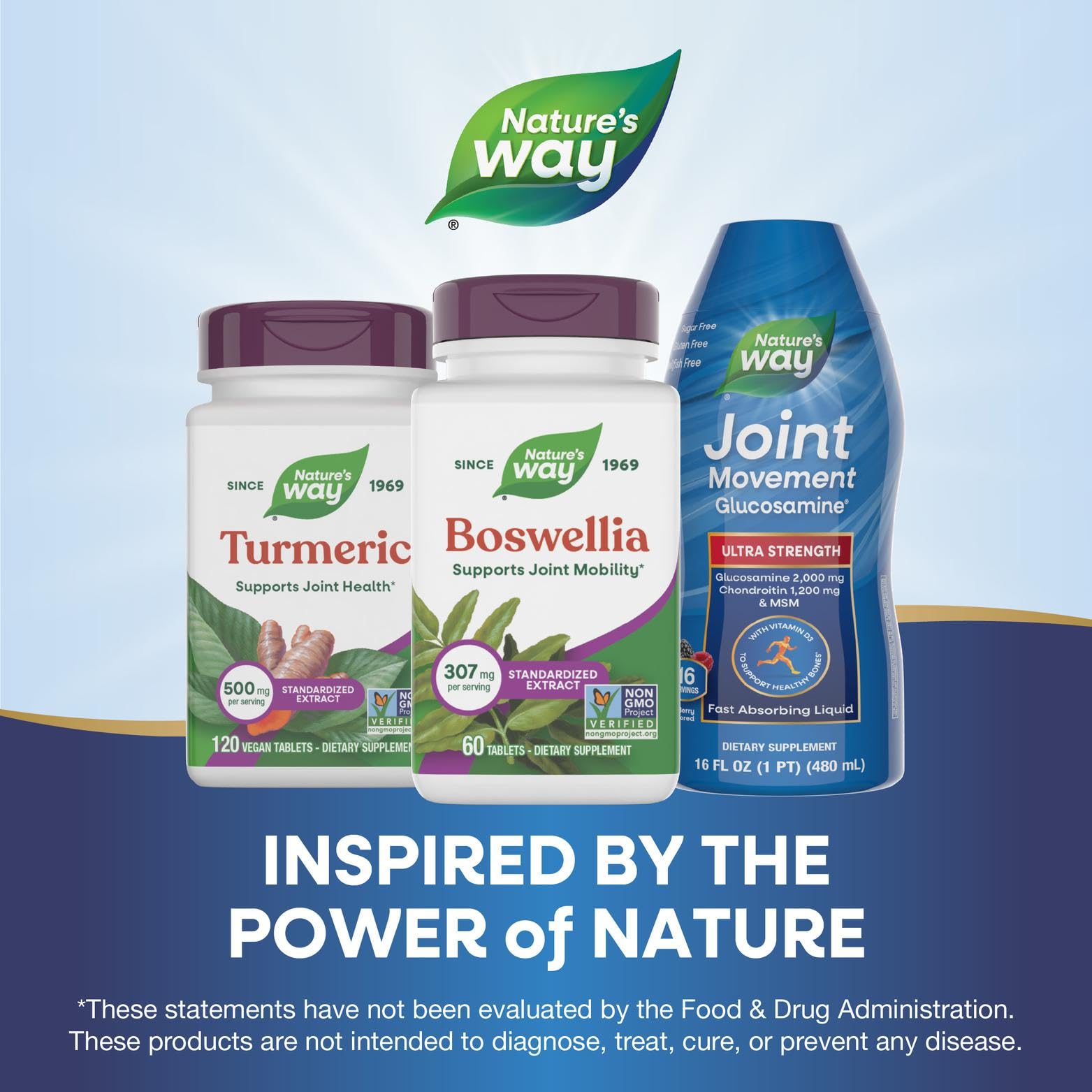 Nature's Way Boswellia Premium Extract: embalaje y etiquetas que destacan calidad y apto para veganos.