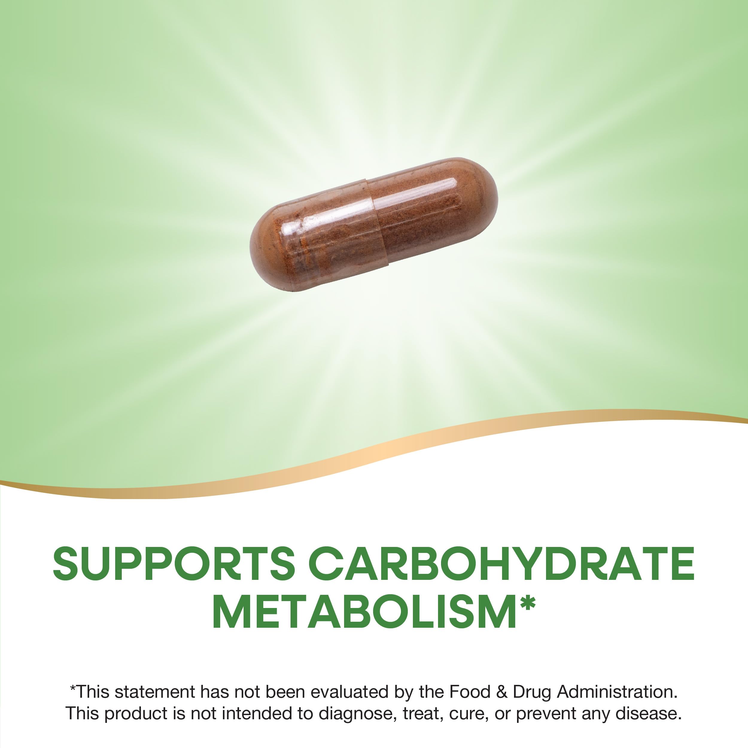 Nature's Way Cinnamon Premium Extract, etiqueta de ingredientes libre de gluten y vegana.