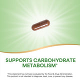 Caja Nature's Way Cinnamon Premium Extract, diseño atractivo para estantería de productos naturales.