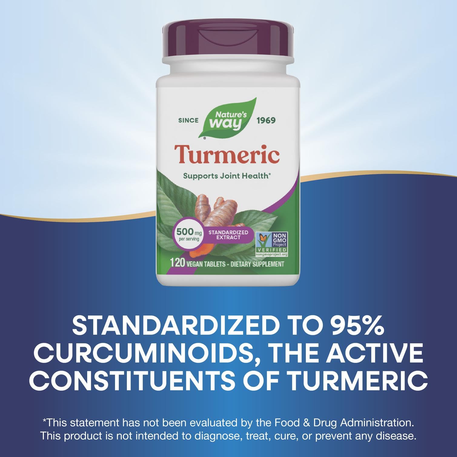 Nature's Way Extracto Premium de Cúrcuma: cucharita de dosis, toma diaria