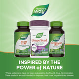 Tomar Nature's Way Extracto de Semilla de Uva diaria con comida.