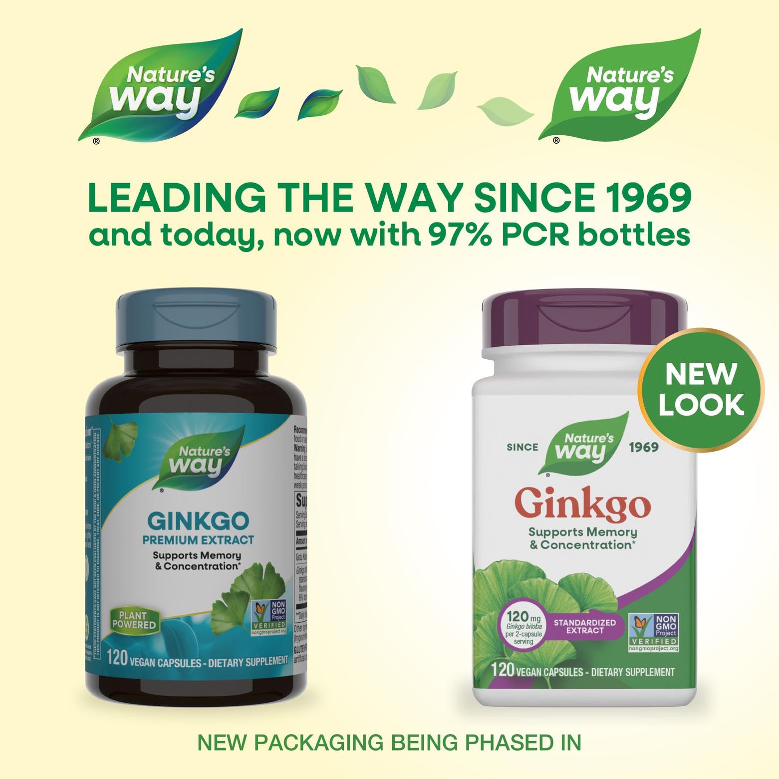 Nature's Way Ginkgo, cápsulas: uso diario para concentración.