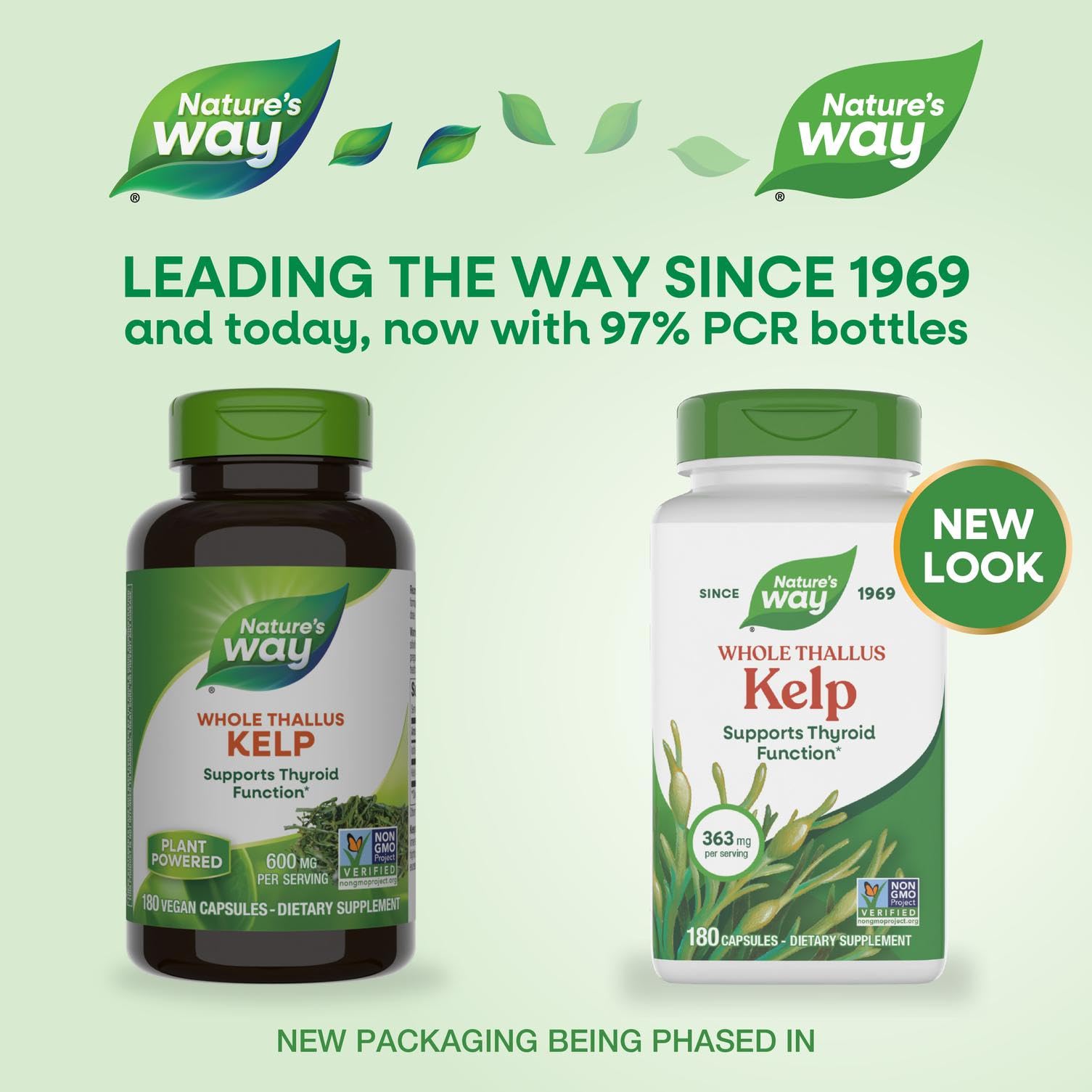 Nature's Way Kelp botella: envase práctico para la toma diaria.