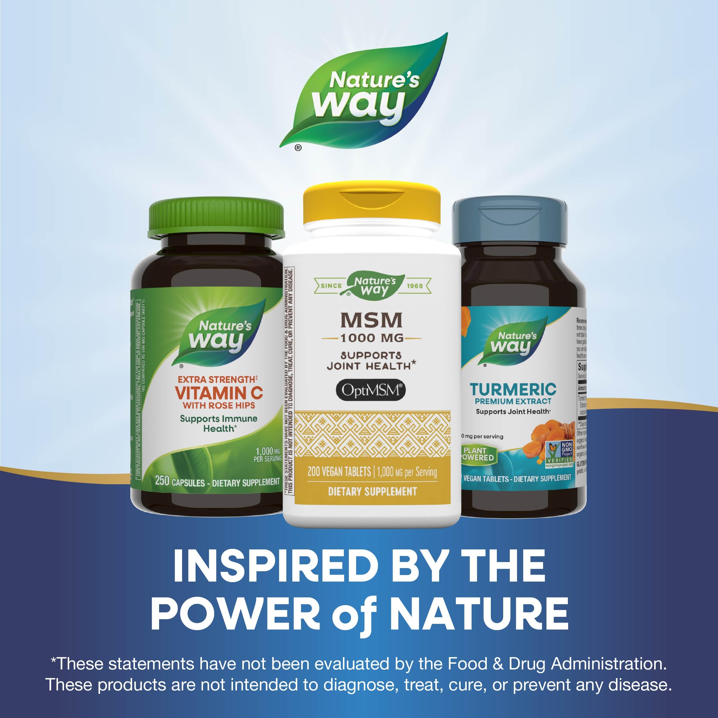 Nature's Way MSM 1000 mg: uso diario para apoyar la función articular.
