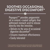 Nature's Way Pepogest: detalle de cápsula y liberación intestinal