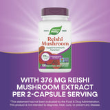 Nature’s Way Reishi ingredientes y leyenda en etiqueta clara