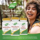 Nature's Way Riboflavina B2, uso diario recomendado para energía.