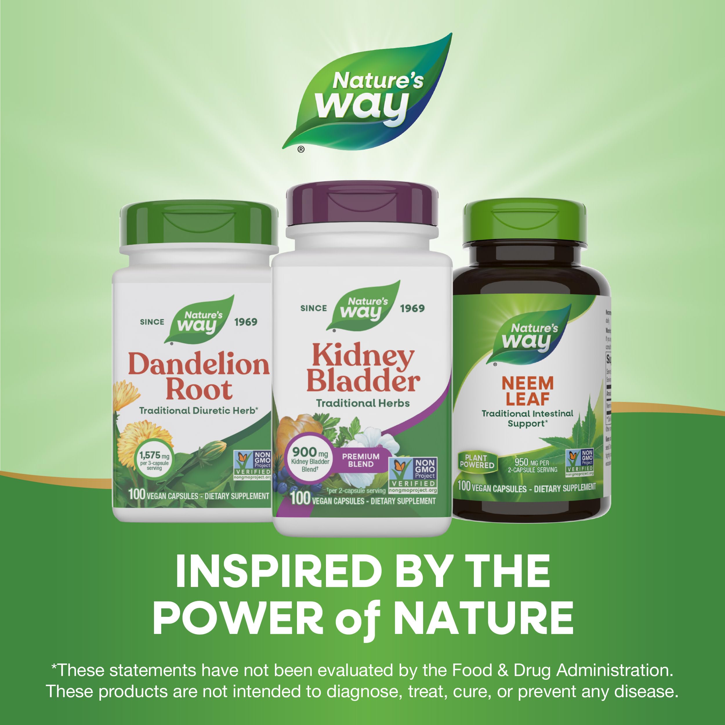 Nature's Way Kidney Bladder, modo de uso recomendado para rutina diaria.
