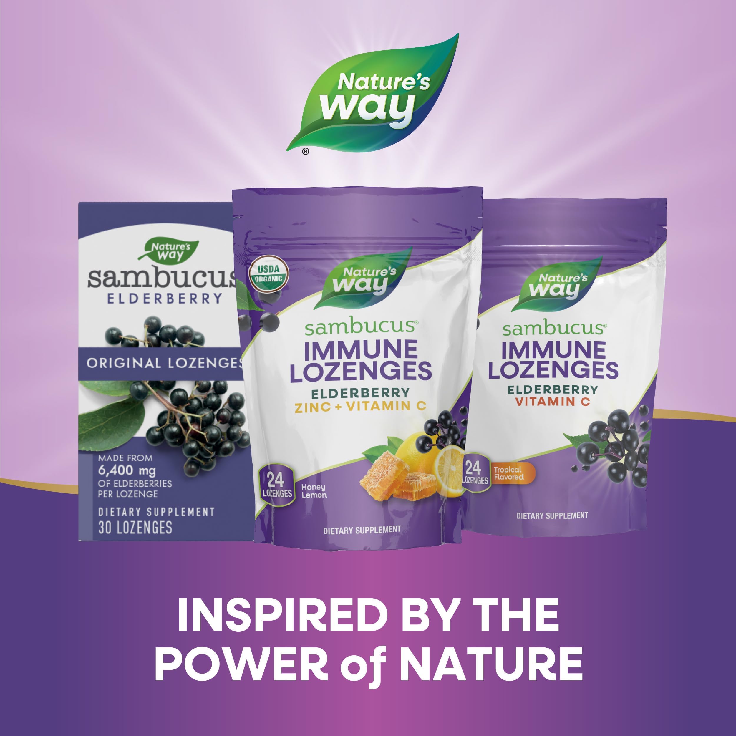 Nature's Way Sambucus vegano sin gluten sin colorantes
